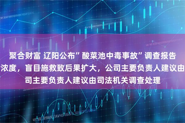 聚合财富 辽阳公布”酸菜池中毒事故”调查报告：有毒气体达致命浓度，盲目施救致后果扩大，公司主要负责人建议由司法机关调查处理