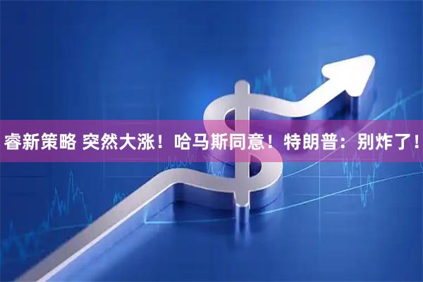 睿新策略 突然大涨！哈马斯同意！特朗普：别炸了！
