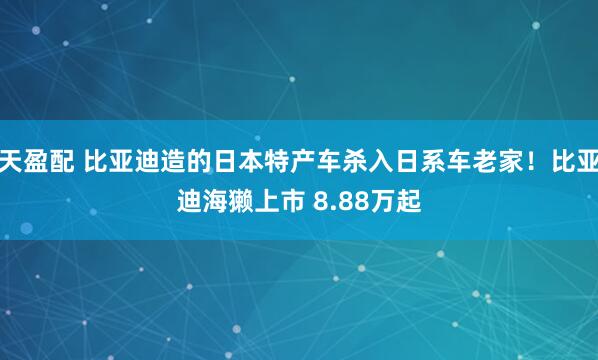 天盈配 比亚迪造的日本特产车杀入日系车老家！比亚迪海獭上市 8.88万起
